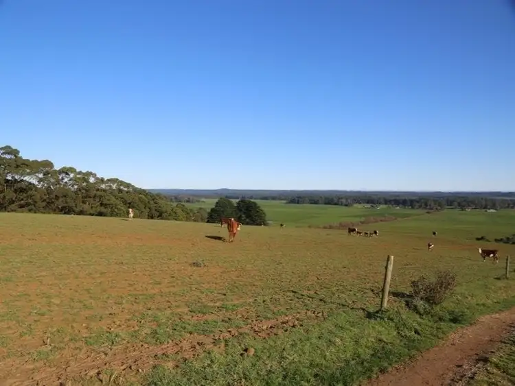 Fifth view of Homely rural property listing, 00 Trowutta Road, Scotchtown TAS 7330