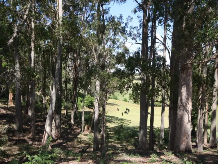 Fifth view of Homely house listing, 219 Calder Road, Wynyard TAS 7325