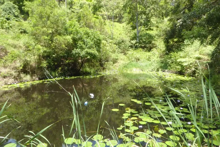 Fifth view of Homely rural property listing, Lot 1 Motts Road, Main Arm NSW 2482