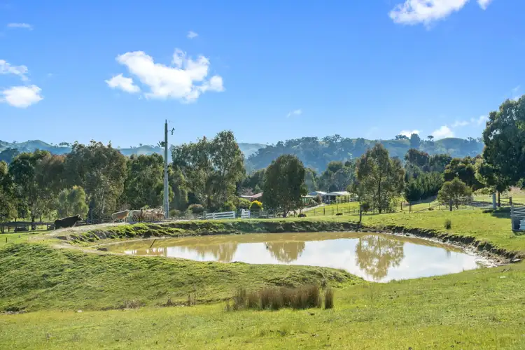 Fourth view of Homely rural property listing, 138 Dry Creek Road, Bonnie Doon VIC 3720