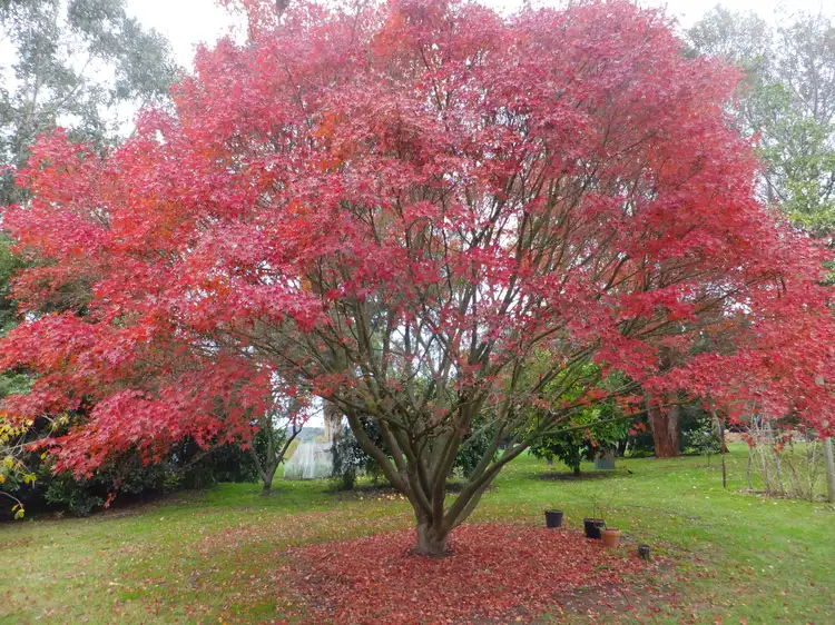 Fifth view of Homely rural property listing, 1760 Lardners Track, Warragul VIC 3820