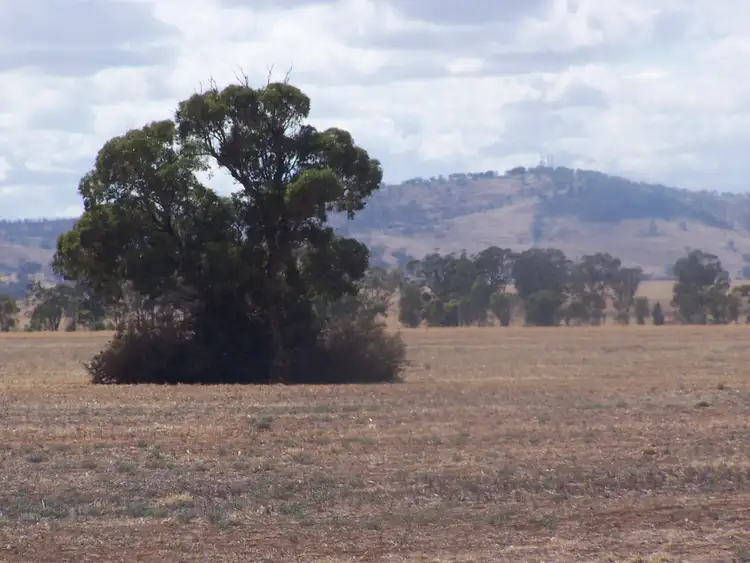 Seventh view of Homely land listing, LOT 15 CALDER HIGHWAY, Charlton VIC 3525