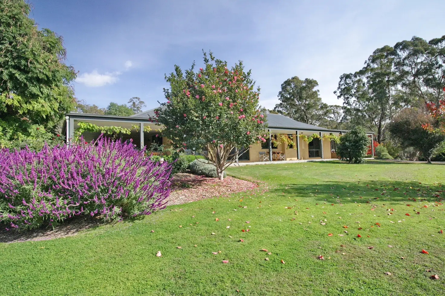 Main view of Homely rural property listing, 4106 Midland Highway, Barjarg VIC 3723