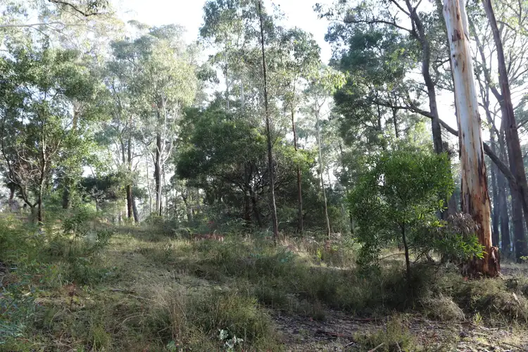 Fourth view of Homely land listing, 12 Cann Street, Blackwood VIC 3458