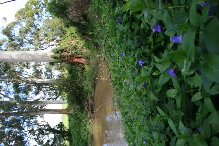 Fourth view of Homely land listing, LOT 6 Main South Road, Hallora VIC 3818