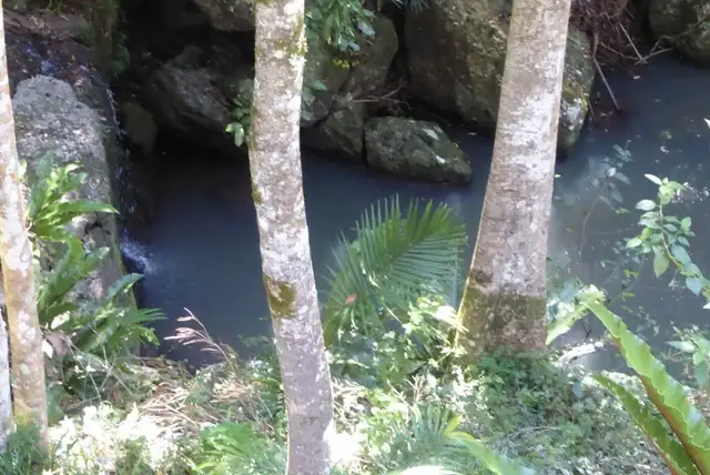 Main view of Homely rural property listing, Lot 1 Motts Road, Main Arm NSW 2482