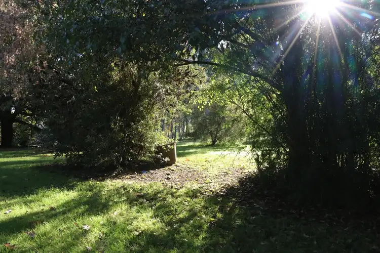 Sixth view of Homely rural property listing, 226 Murrindindi Road, Yea VIC 3717