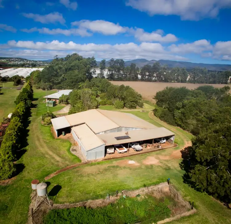Fifth view of Homely rural property listing, 119 Beantree Road, Tolga QLD 4882