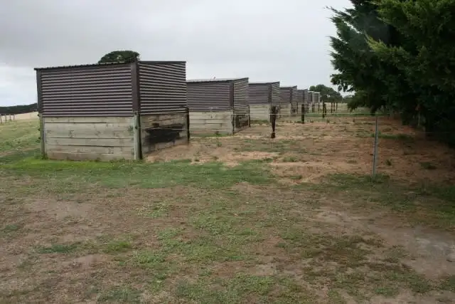 Seventh view of Homely rural property listing, 254 Caramut Road, Warrnambool VIC 3280