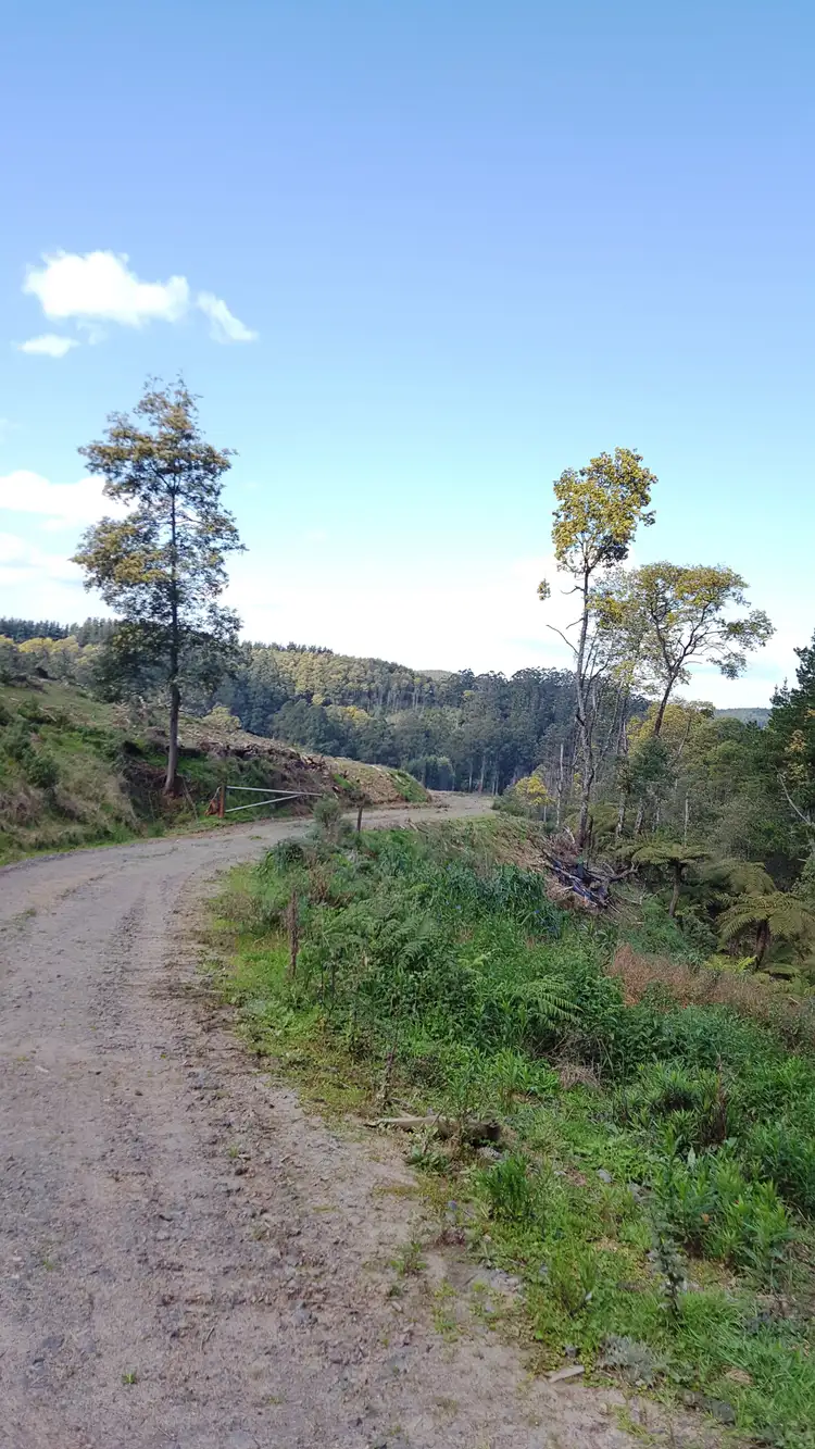 Sixth view of Homely rural property listing, LOT 1 Mirboo-Yarragon Road, Yarragon South VIC 3823