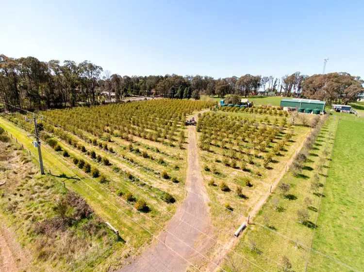 Fourth view of Homely rural property listing, 955 Whittlesea-Kinglake Road, Kinglake West VIC 3757