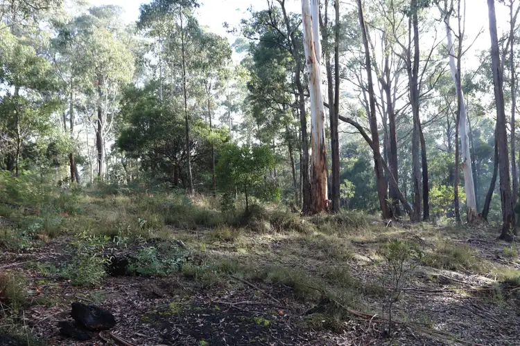 Third view of Homely land listing, 12 Cann Street, Blackwood VIC 3458