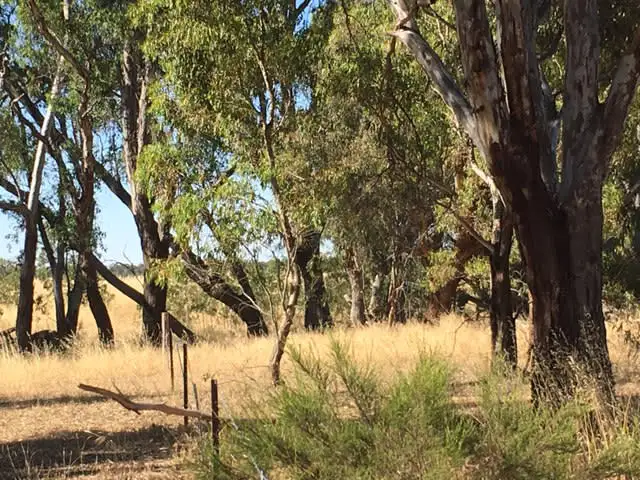 Fifth view of Homely rural property listing, Cnr Northern Highway & Carmody Road (2), Toolleen VIC 3551