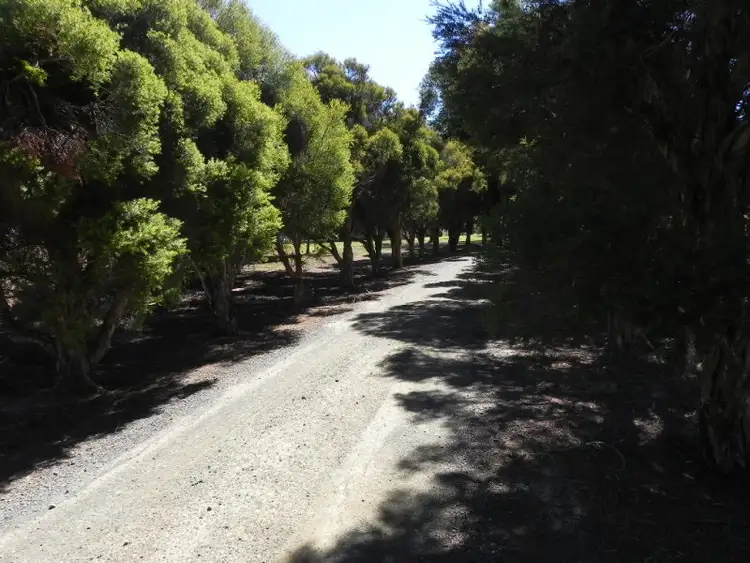 Seventh view of Homely rural property listing, 1109 Foster Road, Ballendella VIC 3561