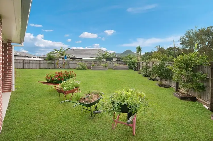 40 Tuckeroo Ave, Mullumbimby NSW 2482