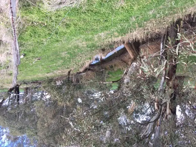 Fifth view of Homely rural property listing, Plain Road, Colbinabbin VIC 3559