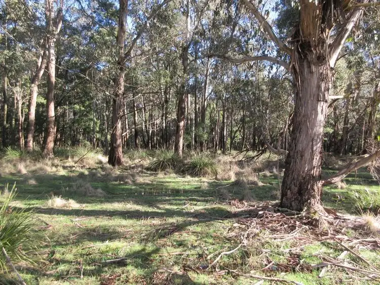 Fifth view of Homely land listing, 104 Cranneys Lane, Trentham VIC 3458