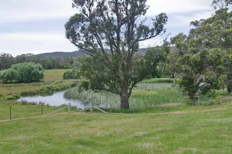 Seventh view of Homely rural property listing, 2426 Mansfield-Whitfield Road, Tolmie VIC 3723