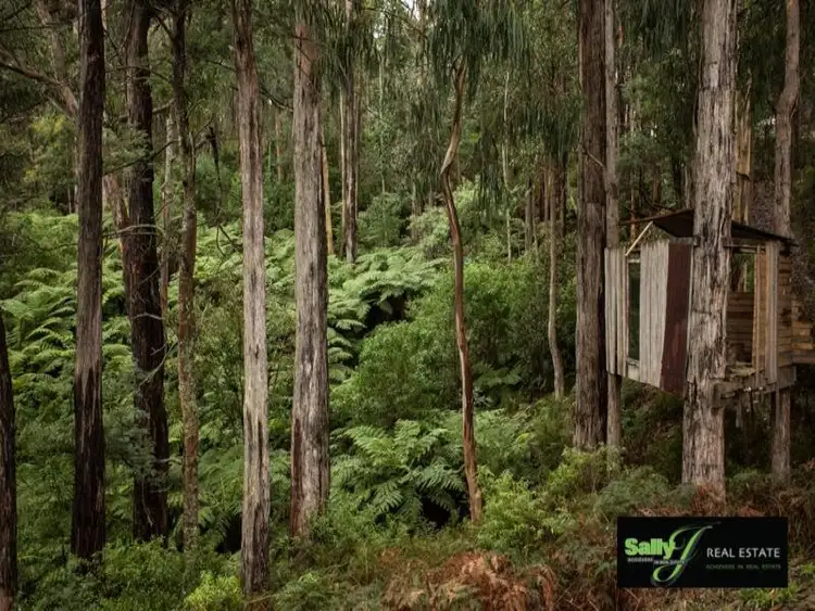 Second view of Homely rural property listing, 370 McDougal Road, Neerim South VIC 3831