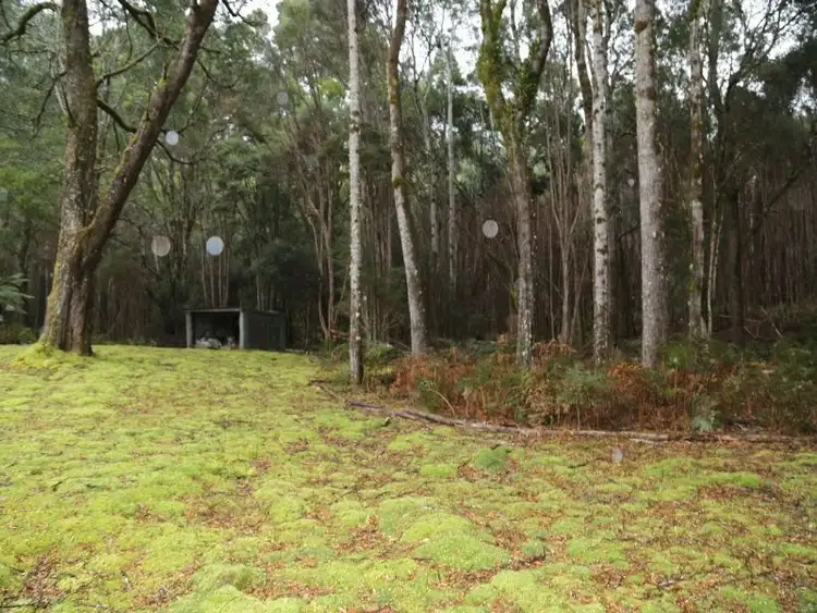 Second view of Homely house listing, 405 Maguires Road, Nabageena TAS 7330