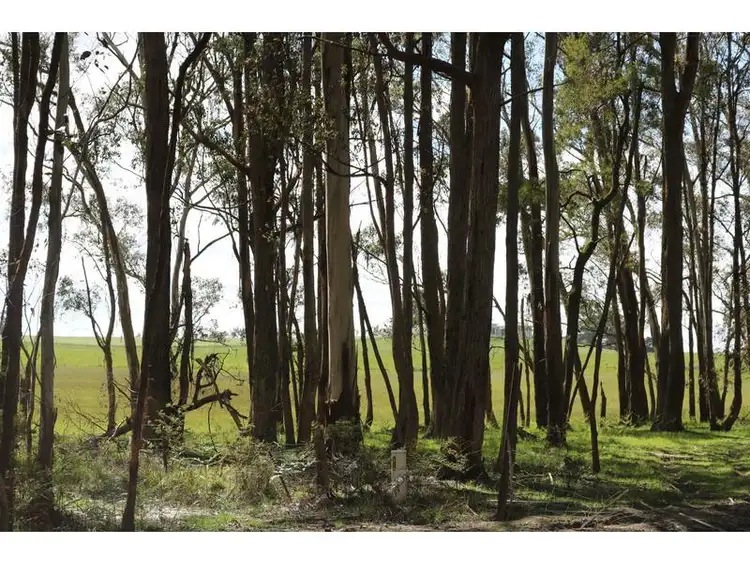 Seventh view of Homely land listing, 59C Hickeys Road, Trentham VIC 3458
