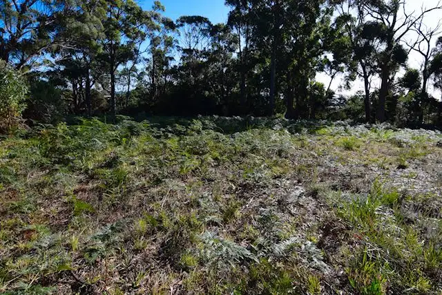 Sixth view of Homely land listing, 1 River Avenue, Heybridge TAS 7316