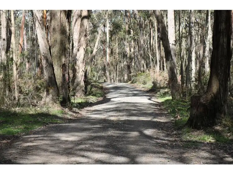 Main view of Homely land listing, 59C Hickeys Road, Trentham VIC 3458