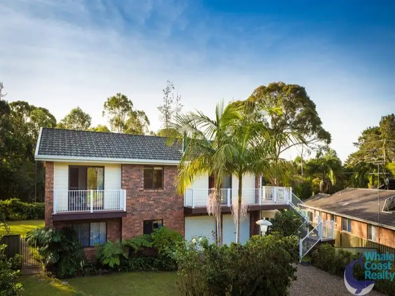 Main view of Homely house listing, 13 Birroul Pl, Dalmeny NSW 2546