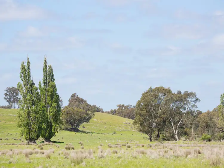 Seventh view of Homely rural property listing, Muckleford Gower Land, Muckleford VIC 3451