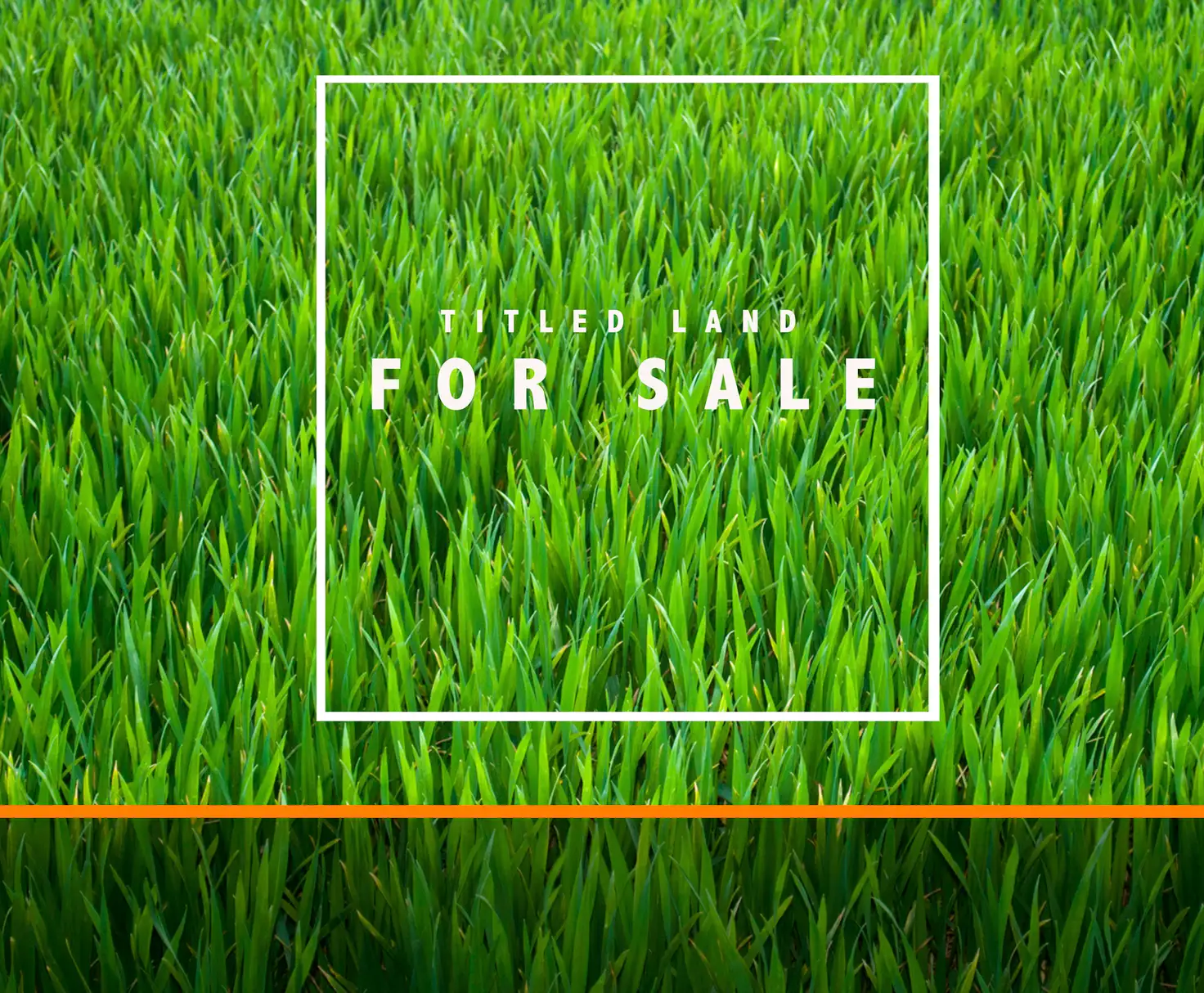 Main view of Homely land listing, 81 Pioneer Way, Officer VIC 3809