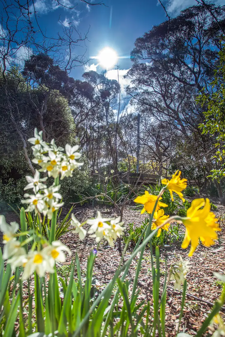Second view of Homely house listing, 8 Windsor Street, Macedon VIC 3440