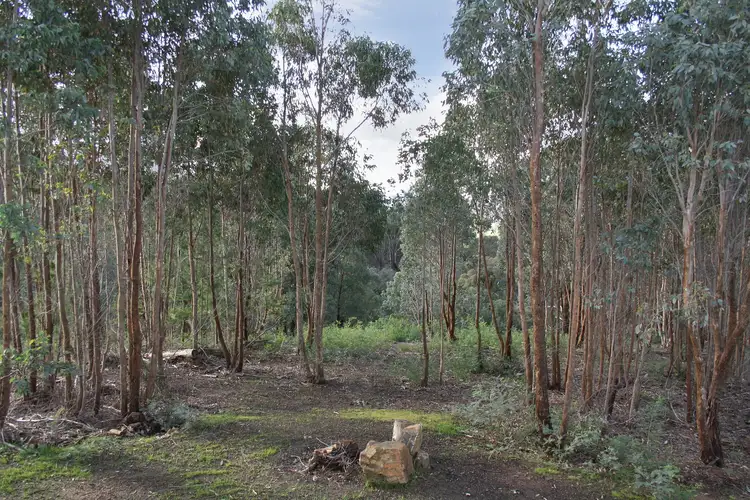 Seventh view of Homely land listing, 450 Penny Lane, Gooram VIC 3666