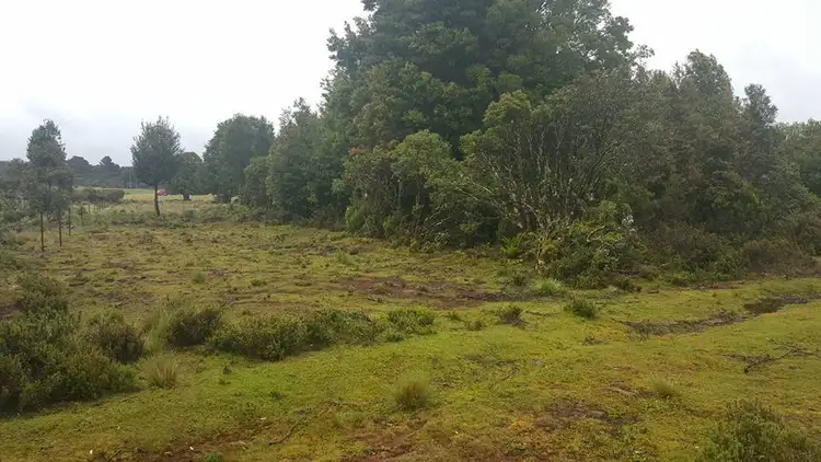 Third view of Homely land listing, LOT 01 Waratah Road, Waratah TAS 7321