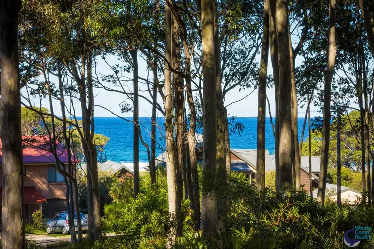 Fourth view of Homely house listing, 50 Maculata Circuit, Dalmeny NSW 2546