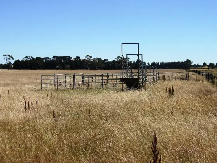 Fifth view of Homely house listing, 9 Stag Road, Allendale VIC 3364
