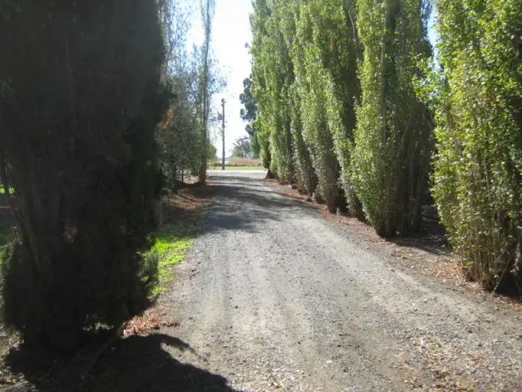 Fifth view of Homely rural property listing, 1039 Prairie Road, Lockington VIC 3563