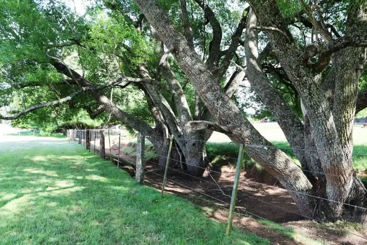 Fourth view of Homely land listing, Lot 17 Gunyah Drive, Trentham VIC 3458
