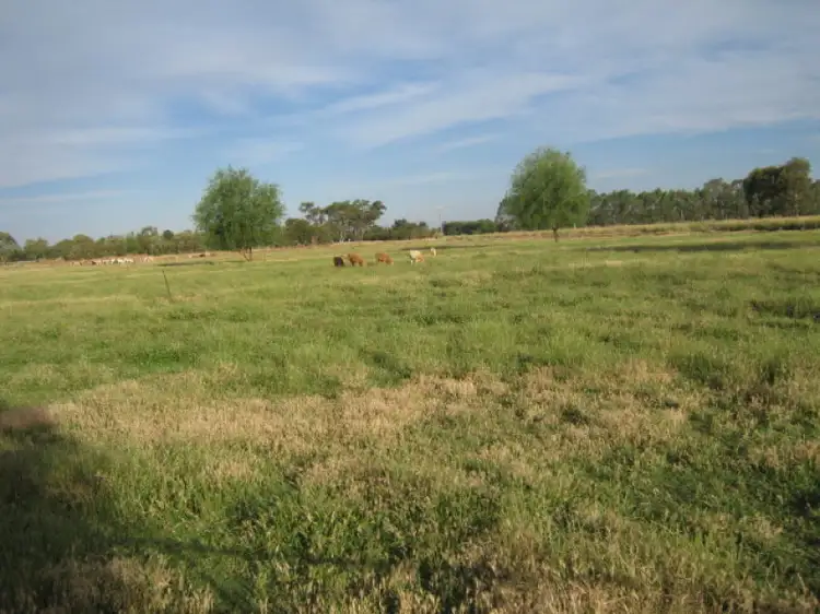 Third view of Homely rural property listing, 620 Hansen Road, Bamawm VIC 3561