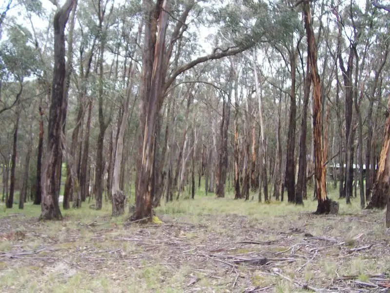Main view of Homely land listing, LOT 12 Cowans Drive, Dales Creek VIC 3341