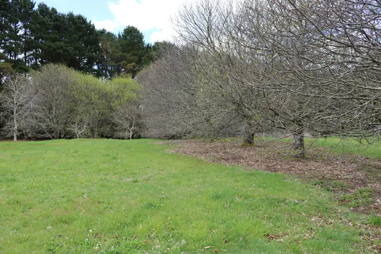 Third view of Homely land listing, LOT 1B/30 Main Street, Lyonville VIC 3461