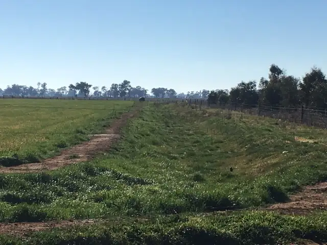 Second view of Homely rural property listing, 1595 MacGregor Road, Timmering VIC 3561