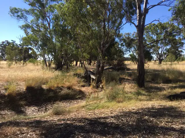 Main view of Homely rural property listing, Cnr Northern Highway & Carmody Road (2), Toolleen VIC 3551