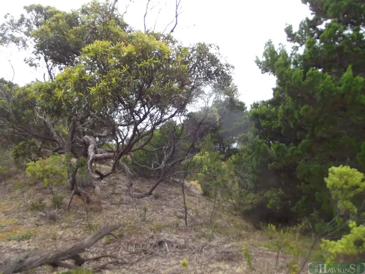 Seventh view of Homely land listing, LOT 103 Borda Road, Island Beach SA 5222