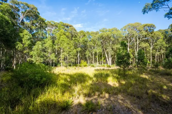 Fourth view of Homely land listing, LOT 2 Dalmeny Drive, Kianga NSW 2546