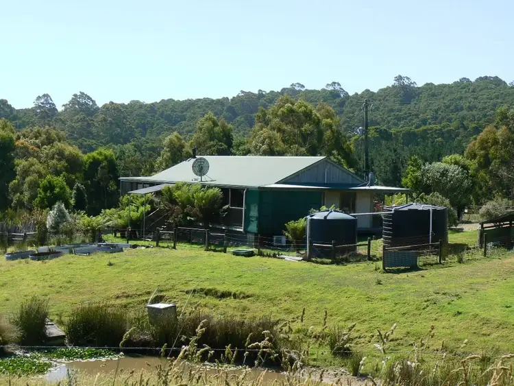 Sixth view of Homely rural property listing, 40 Dehnerts Track, Beech Forest VIC 3237