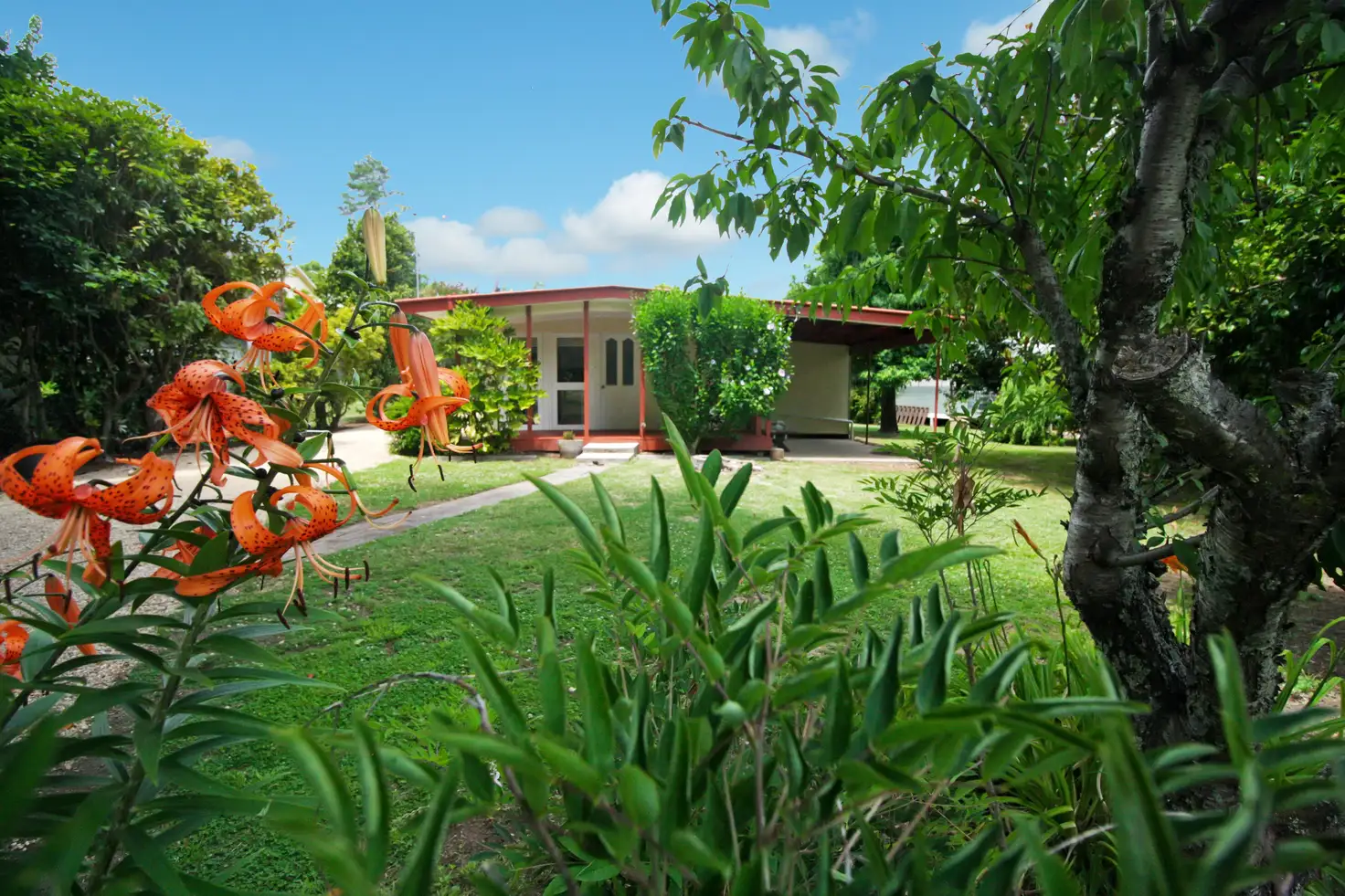 Main view of Homely house listing, 3 Bridge Street, Jamieson VIC 3723