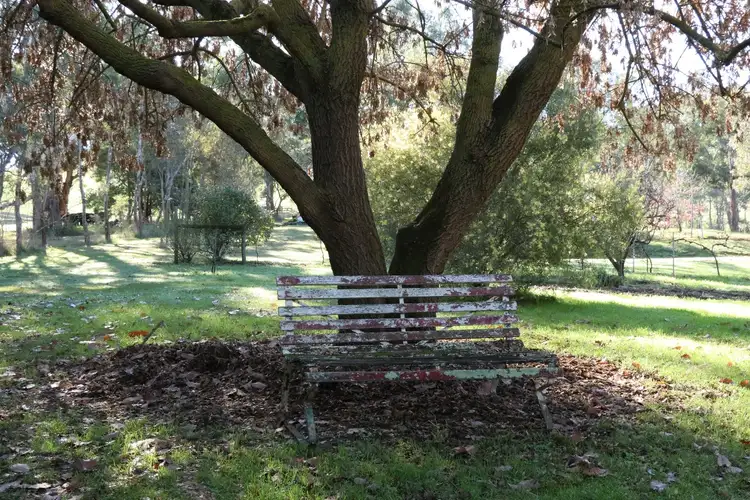 Seventh view of Homely rural property listing, 226 Murrindindi Road, Yea VIC 3717