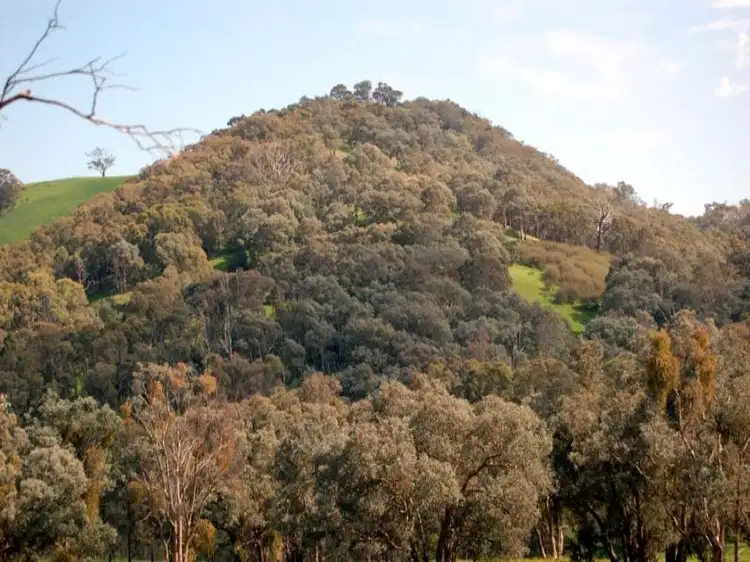 Second view of Homely land listing, 231 Shannons Road, Murrindindi VIC 3717