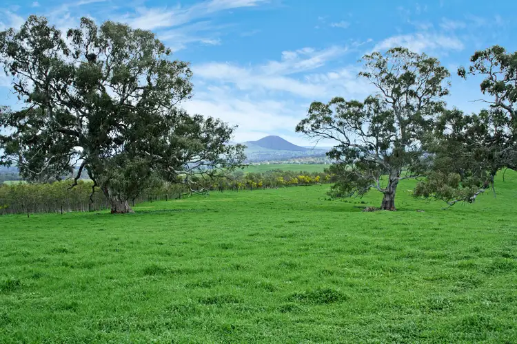 Fourth view of Homely rural property listing, 161 McLeod Lane, Mansfield VIC 3722