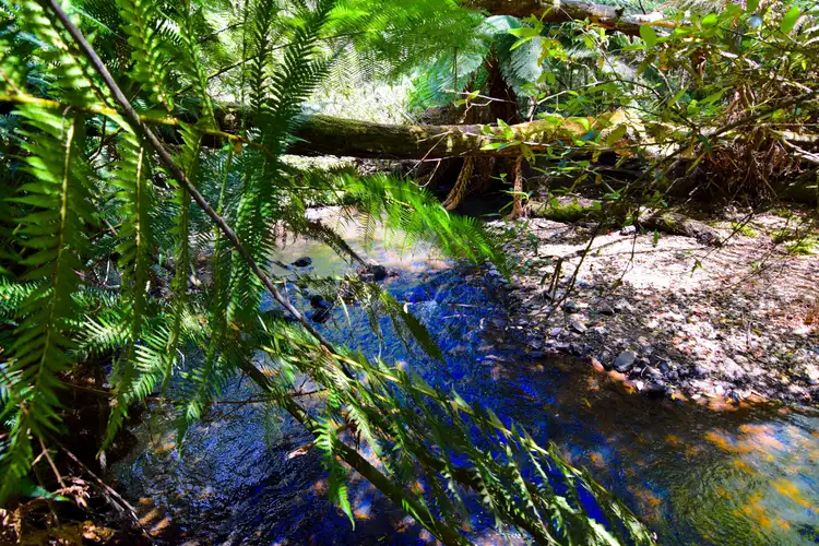 Second view of Homely rural property listing, 184 Back Cam Road, Somerset TAS 7322